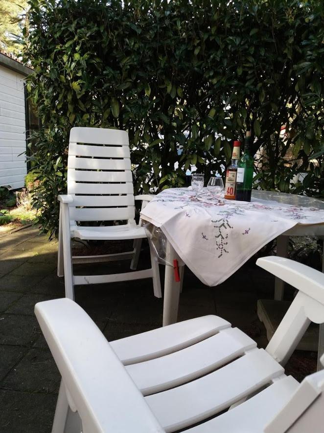 Chalet De Eekhoorn Diever Eksteriør billede