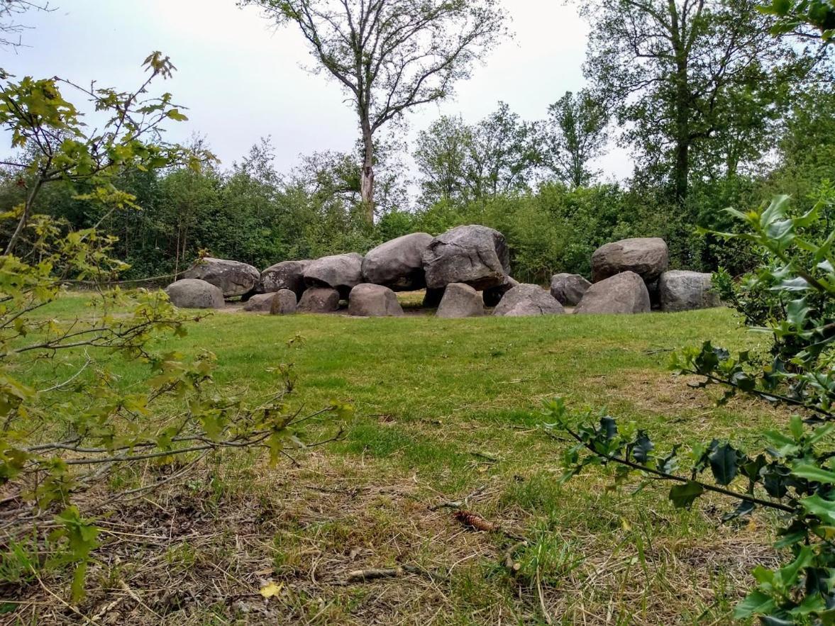 Chalet De Eekhoorn Diever Eksteriør billede